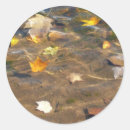 Search for falling water stickers Nature