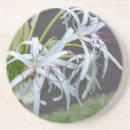 Search for fragrance Purple