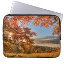 Search for fall scene electronics Landscape