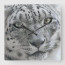 Search for leopard clocks Exotic