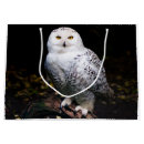 Search for owl gift bags Animal