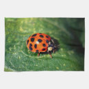 Search for ladybug tea towels Nature