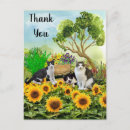 Search for cat and sunflowers cards Garden
