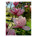 Search for unique floral posters Nature