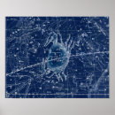 Search for zodiac signs Horoscope
