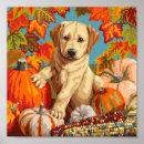 Search for labrador retriever posters Yellow lab