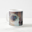 Search for american shorthair cat mugs Cute