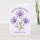 Search for aster cards Daisy