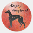 Search for greyhound dog stickers Pets