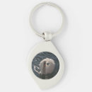 Search for white feather key rings Swan