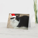 Search for black and white cat christmas cards Cats