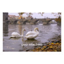 Search for stone bridges posters Water