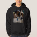 Search for fox hoodies Dog