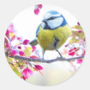 Search for fowl labels Cute