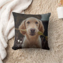 Search for dog name cushions Keepsake