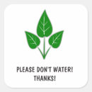 Search for water plant stickers Leaves