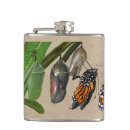 Search for monarch barware Photography