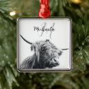 Search for black cow christmas tree decorations Animal
