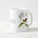 Search for vintage hummingbird mugs Trochilidae