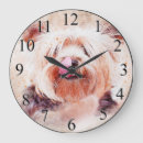Search for shih tzu clocks Animals