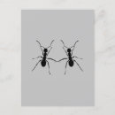 Search for ant postcards Friendship
