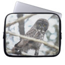 Search for mouse cases Wildlife