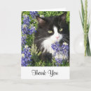 Search for black cat thank you cards Tuxedo
