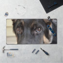 Search for herding dog mousepads Canine