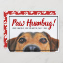 Search for humbug christmas cards Cute