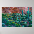 Search for miller art Cactus