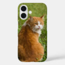 Search for cat sitting iphone cases Pet