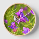 Search for bumblebee clocks Nature
