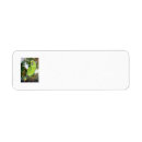 Search for amazon return address labels Parrot