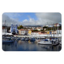 Search for azores magnets Portugal