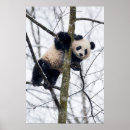 Search for danita delimont posters China