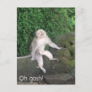 Search for monkeys postcards Funny