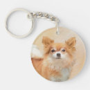 Search for long haired chihuahua key rings Puppy