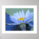 Search for name lily posters Elegant