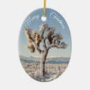 Search for joshua christmas tree decorations Mojave