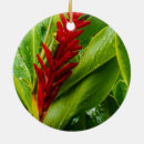 Search for ginger christmas tree decorations Red