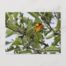 Search for hudson valley postcards New york