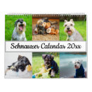 Search for schnauzer calendars Miniature