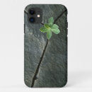 Search for dedicated cases Dedication