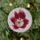 Search for transparent christmas tree decorations Red