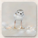 Search for bird coasters Beach