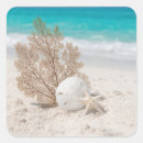 Search for sand dollars stickers Seashore