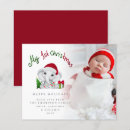 Search for elephants christmas cards Jungle