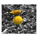 Search for in early spring art Photography