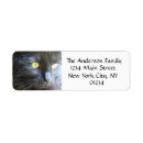 Search for crazy return address labels Cats