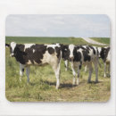 Search for dairy farm mousepads Rural scene